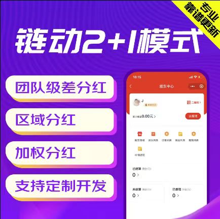 临沂【精品】链动2+1代码-链动2+1开发-链动2+1平台开发【有什么用?】